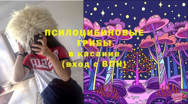 бошки Коряжма