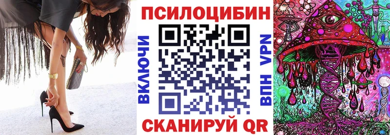 Купить закладки  Краснотурьинск  Псилоцибиновые грибы Psilocybe 